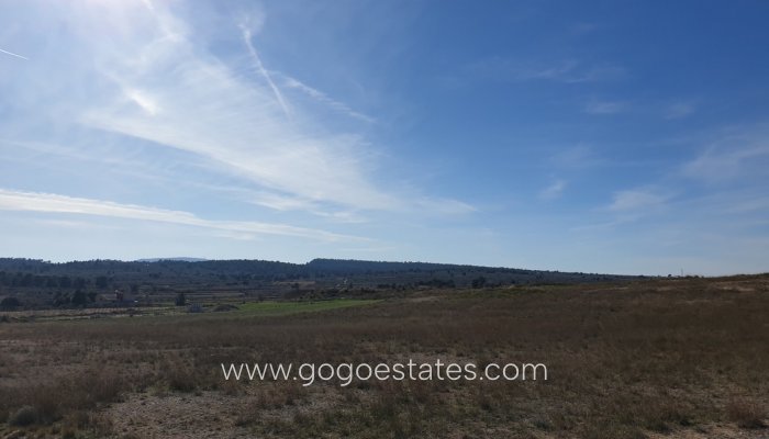 Te koop - Perceel - Land - Pinoso - Pinoso Centro