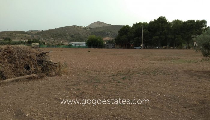 Te koop - Perceel - Land - Aspe - Aspe Centro