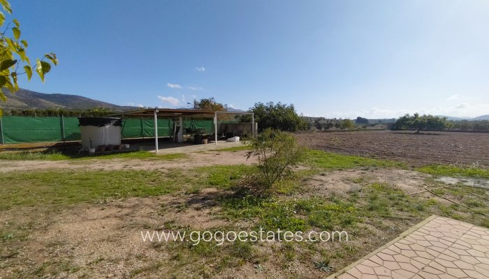 Te koop - Huis - Vrijstaande Villa - Sax - Sax Centro