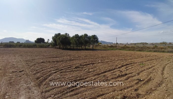 Te koop - Huis - Vrijstaande Villa - Sax - Sax Centro