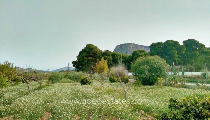 Te koop - Huis - Vrijstaande Villa - Aspe - Aspe Centro