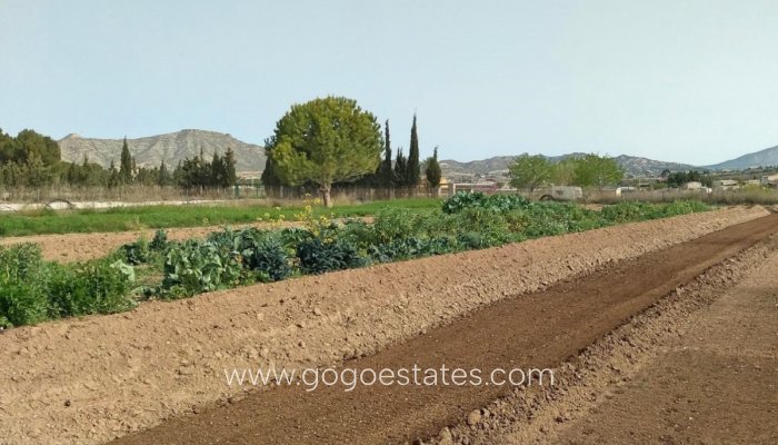 Te koop - Huis - Vrijstaande Villa - Aspe - Aspe Centro