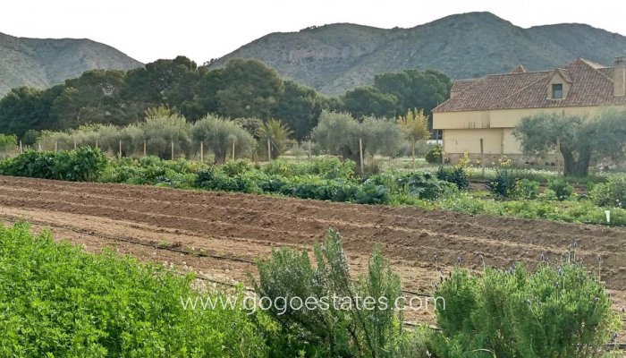 Te koop - Huis - Vrijstaande Villa - Aspe - Aspe Centro