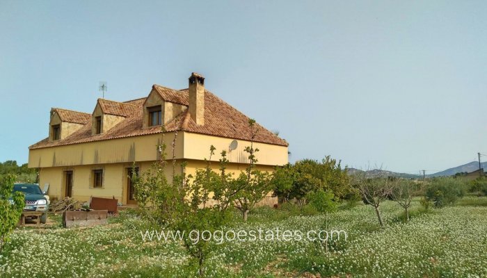 Te koop - Huis - Vrijstaande Villa - Aspe - Aspe Centro