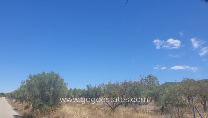 Te koop - Perceel - Land - Biar - Biar Centro