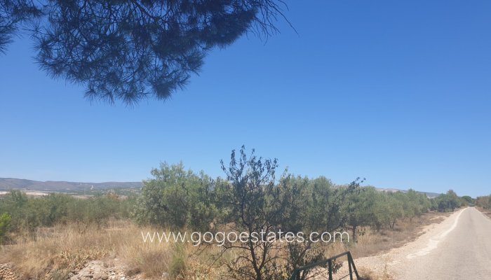 Te koop - Perceel - Land - Biar - Biar Centro