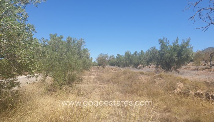 Te koop - Perceel - Land - Biar - Biar Centro