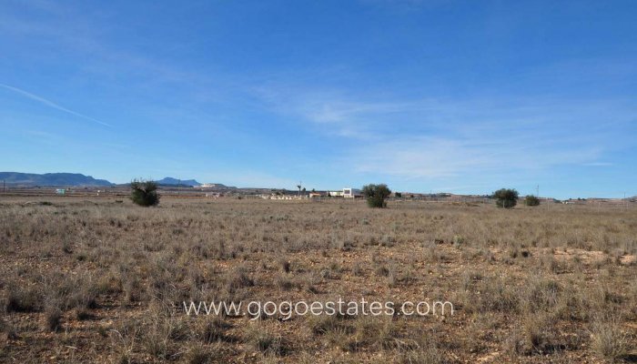 Revente - Terrain - Terrain - Pinoso - Pinoso Centro