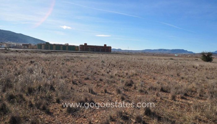 Revente - Terrain - Terrain - Pinoso - Pinoso Centro