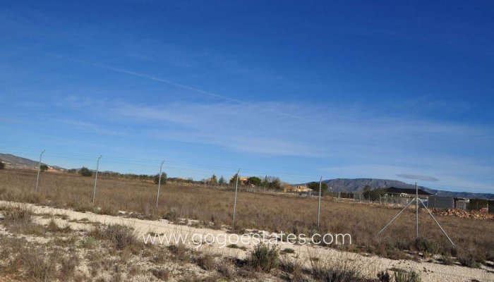 Revente - Terrain - Terrain - Pinoso - Pinoso Centro