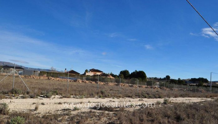 Revente - Terrain - Terrain - Pinoso - Pinoso Centro