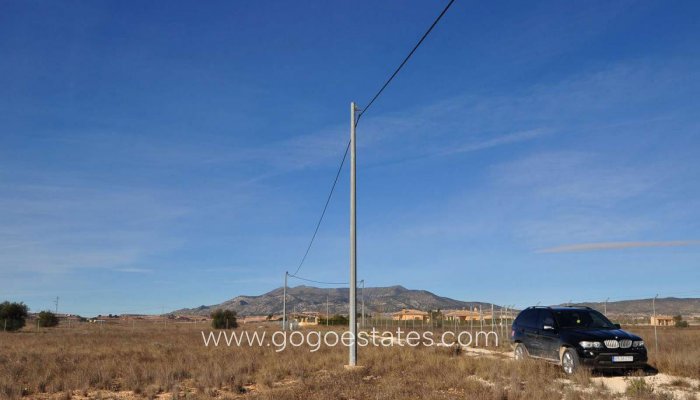 Revente - Terrain - Terrain - Pinoso - Pinoso Centro