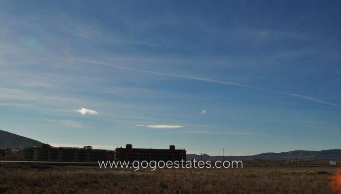 Revente - Terrain - Terrain - Pinoso - Pinoso Centro