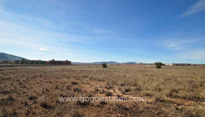 Revente - Terrain - Terrain - Pinoso - Pinoso Centro