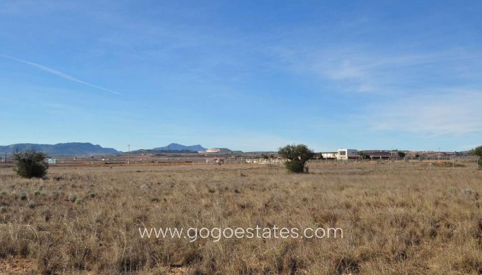 Revente - Terrain - Terrain - Pinoso - Pinoso Centro