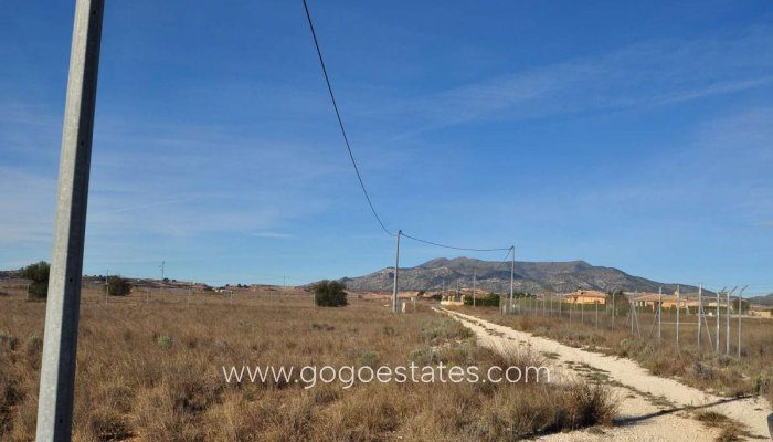 Revente - Terrain - Terrain - Pinoso - Pinoso Centro