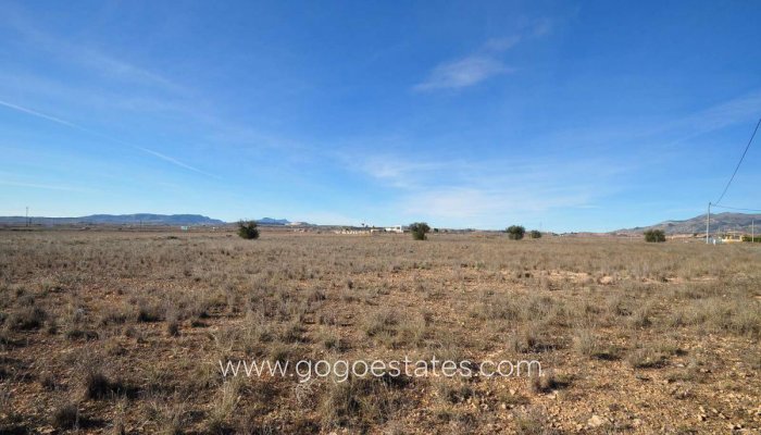 Revente - Terrain - Terrain - Pinoso - Pinoso Centro
