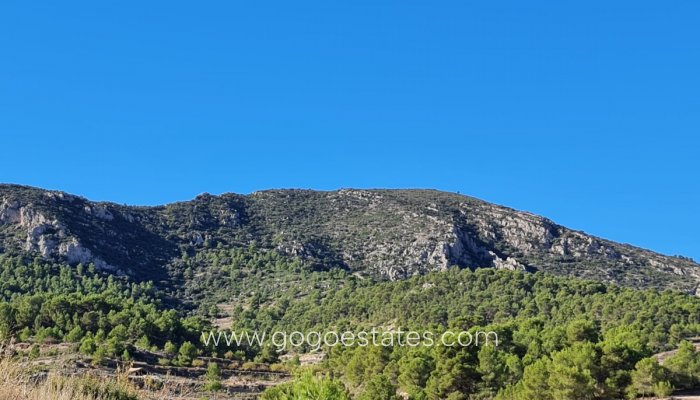 Te koop - Perceel - Land - La Romana - La Romana Centro