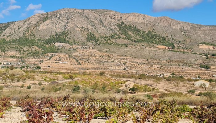 Te koop - Perceel - Land - La Romana - La Romana Centro