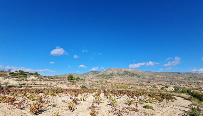 Te koop - Perceel - Land - La Romana - La Romana Centro