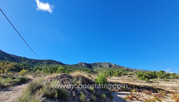 Te koop - Perceel - Land - La Romana - La Romana Centro