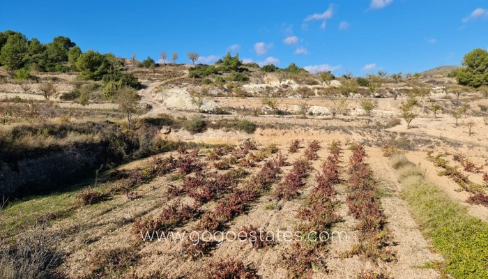 Te koop - Perceel - Land - La Romana - La Romana Centro