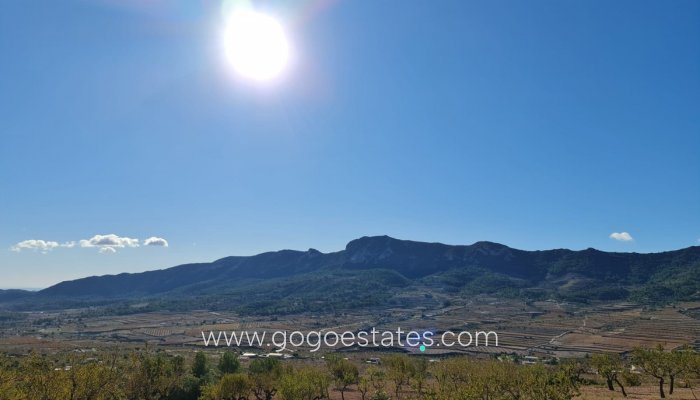 Te koop - Perceel - Land - La Romana - La Romana Centro