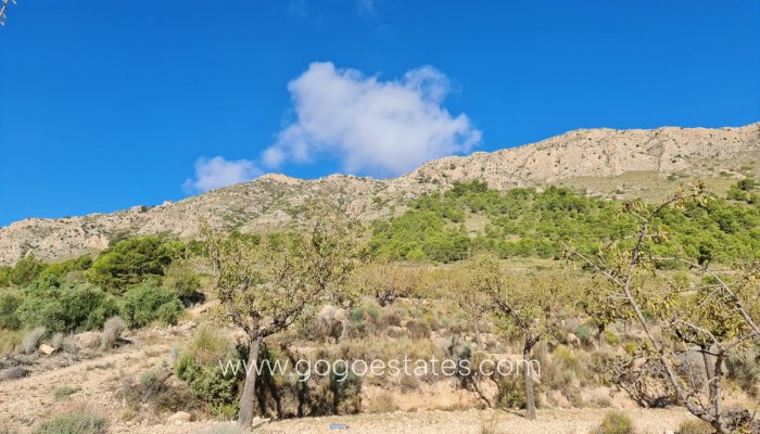 Te koop - Perceel - Land - La Romana - La Romana Centro