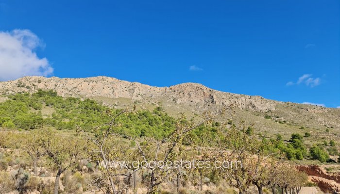 Te koop - Perceel - Land - La Romana - La Romana Centro