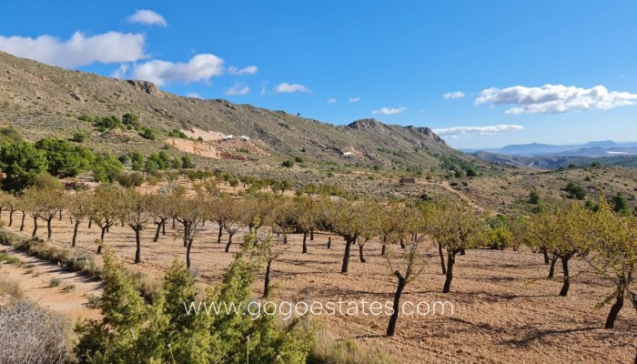Te koop - Perceel - Land - La Romana - La Romana Centro