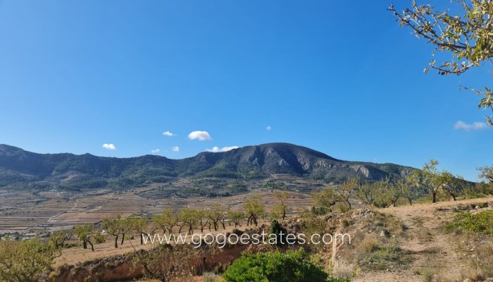 Te koop - Perceel - Land - La Romana - La Romana Centro