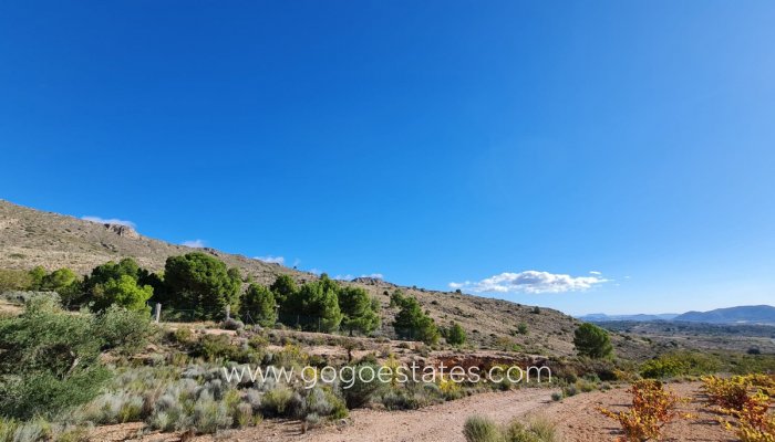 Te koop - Perceel - Land - La Romana - La Romana Centro