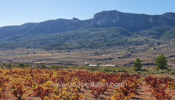 Te koop - Perceel - Land - La Romana - La Romana Centro