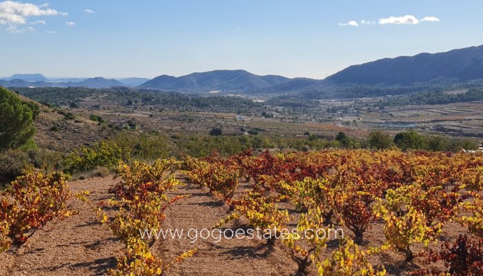 Te koop - Perceel - Land - La Romana - La Romana Centro