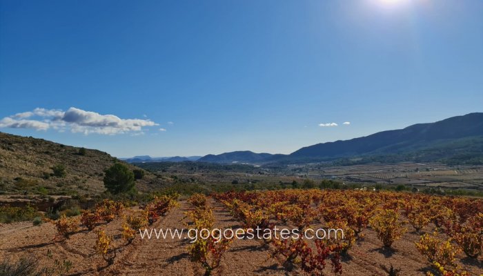 Te koop - Perceel - Land - La Romana - La Romana Centro