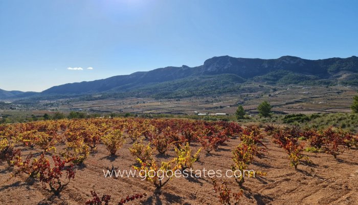 Te koop - Perceel - Land - La Romana - La Romana Centro