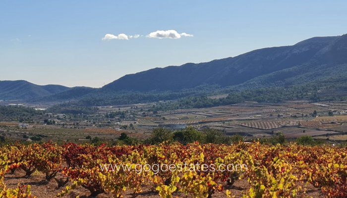 Te koop - Perceel - Land - La Romana - La Romana Centro