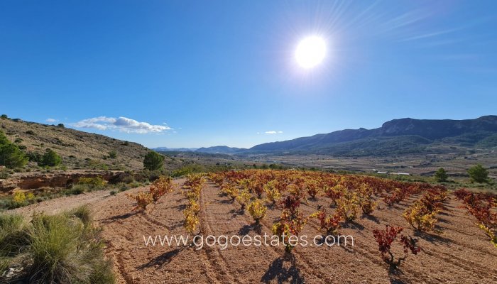 Te koop - Perceel - Land - La Romana - La Romana Centro