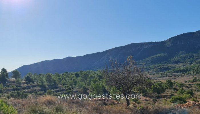 Te koop - Perceel - Land - La Romana - La Romana Centro