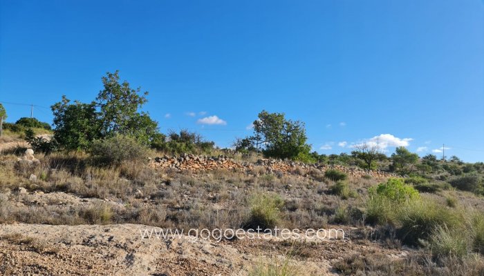Te koop - Perceel - Land - La Romana - La Romana Centro