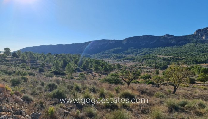 Te koop - Perceel - Land - La Romana - La Romana Centro