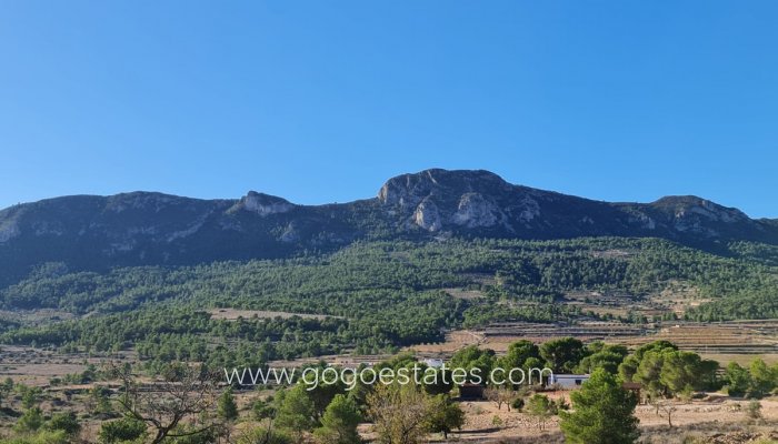 Te koop - Perceel - Land - La Romana - La Romana Centro