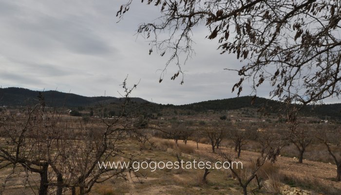 Te koop - Huis - Vrijstaande Villa - Monóvar - Monòver - Chinorlet