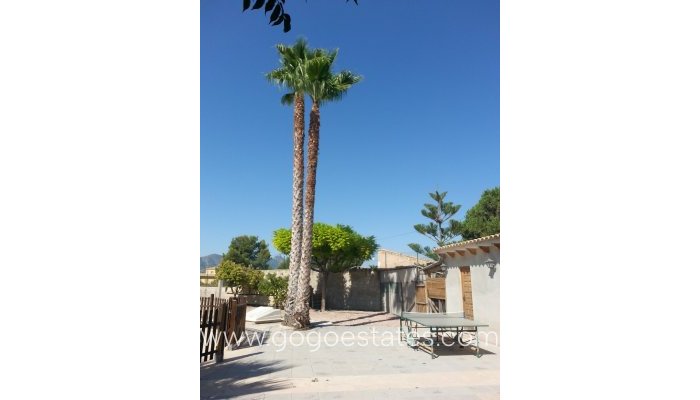 Te koop - Huis - Vrijstaande Villa - La Romana - La Romana Centro