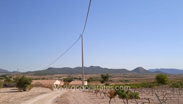 Te koop - Perceel - Land - Pinoso - Pinoso Centro