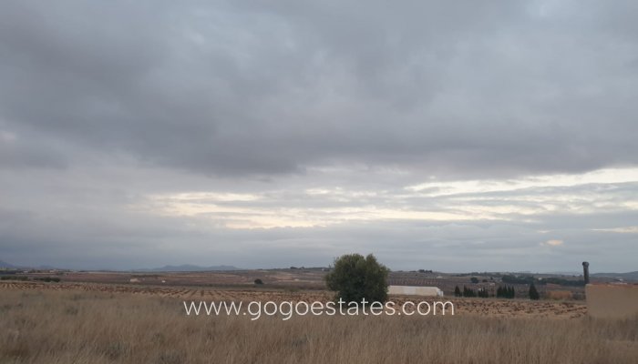 Te koop - Perceel - Land - Pinoso - Pinoso Centro