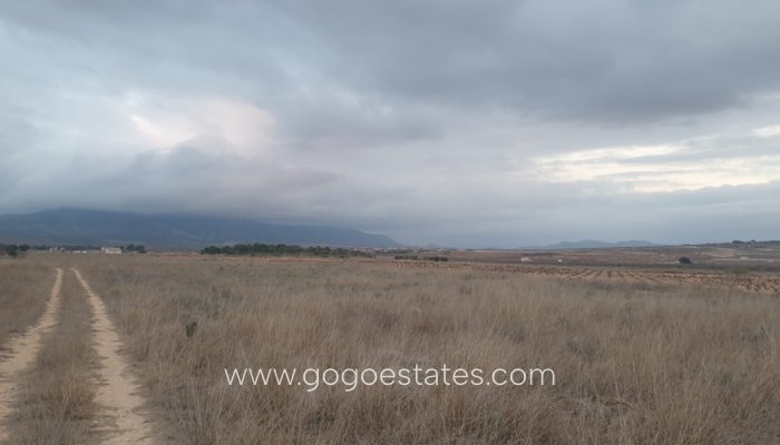 Te koop - Perceel - Land - Pinoso - Pinoso Centro