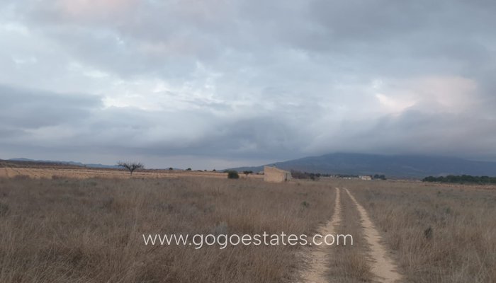 Te koop - Perceel - Land - Pinoso - Pinoso Centro