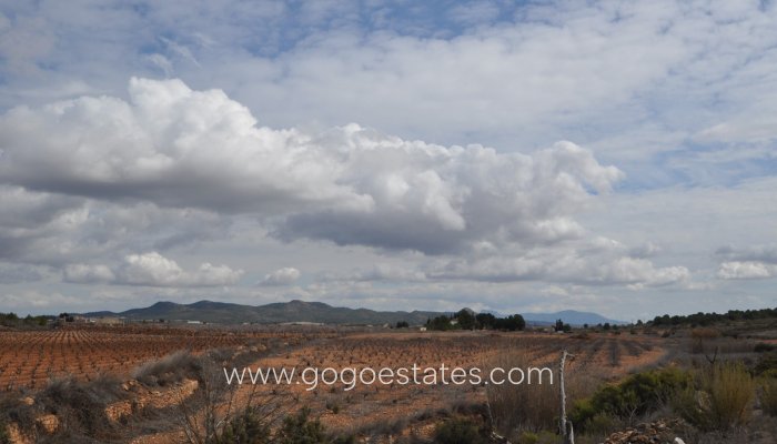 Te koop - Perceel - Land - Pinoso - Pinoso Centro