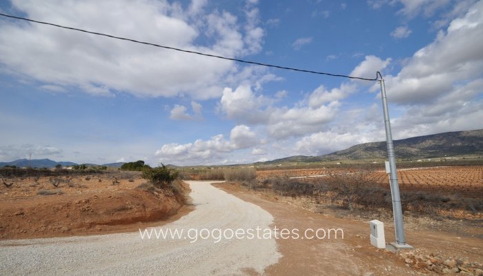 Te koop - Perceel - Land - Pinoso - Pinoso Centro